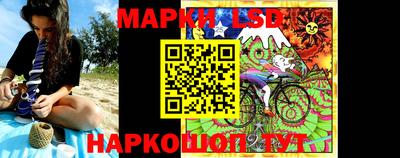 Альфа ПВП Новозыбков