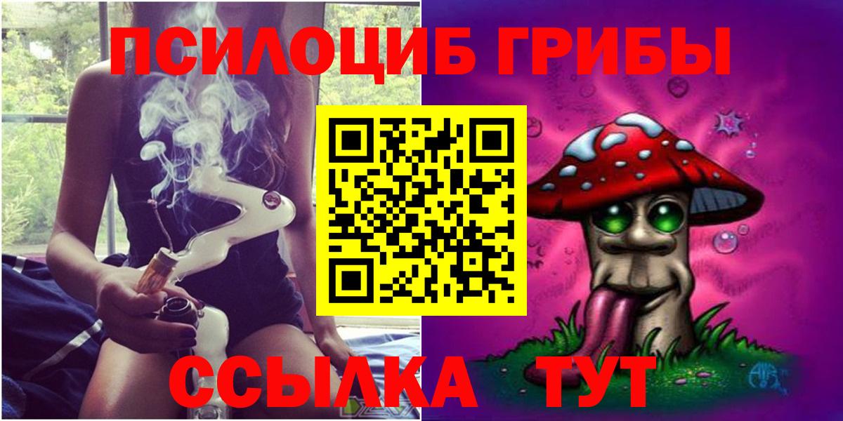 Советск  Псилоцибиновые грибы MAGIC MUSHROOMS  наркошоп  Вход с VPN 